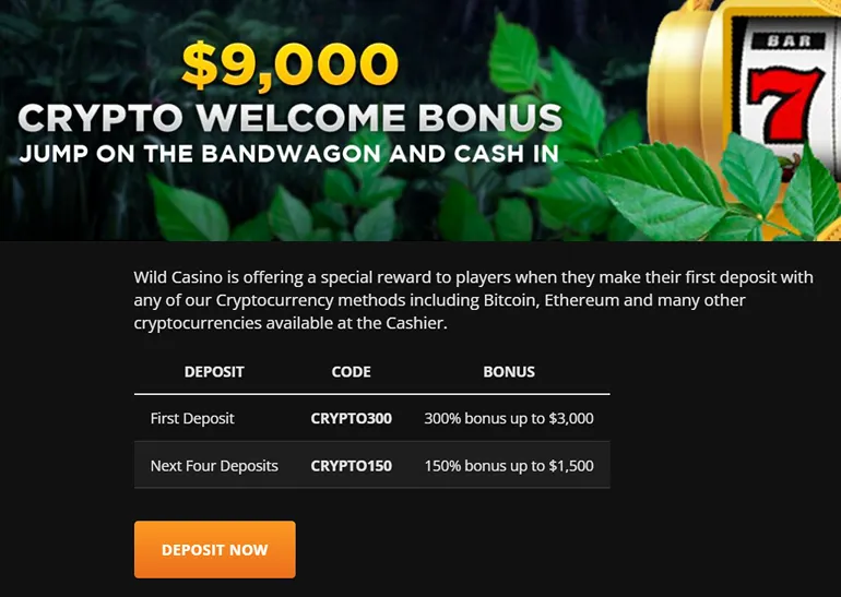 Wild Casino bonus crypto